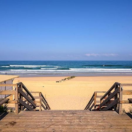 La Cabane Maddyblue 5 Min A Pieds De L'Ocean Et Commerce Mimizan-Plage Eksteriør billede