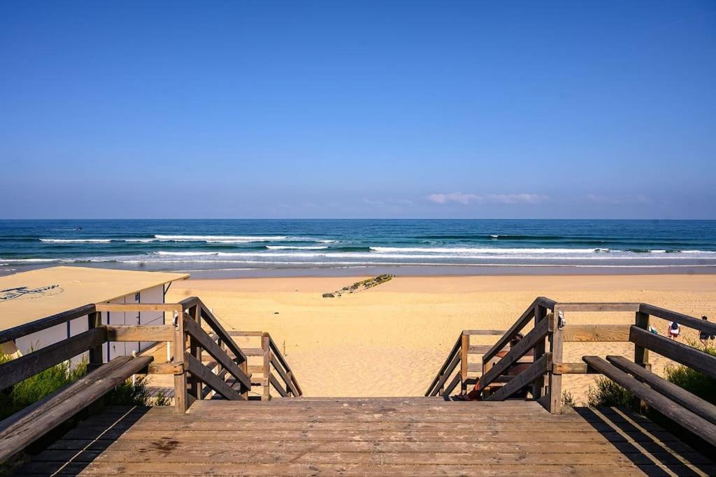 La Cabane Maddyblue 5 Min A Pieds De L'Ocean Et Commerce Mimizan-Plage Eksteriør billede